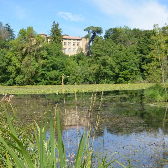 Collégiale saint donat