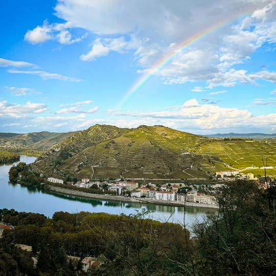 Colline de l'Hermitage