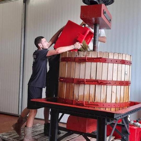 Domaine Etienne Thivolle