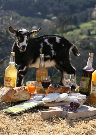 Produits du terroir made in Ardèche Hermitage