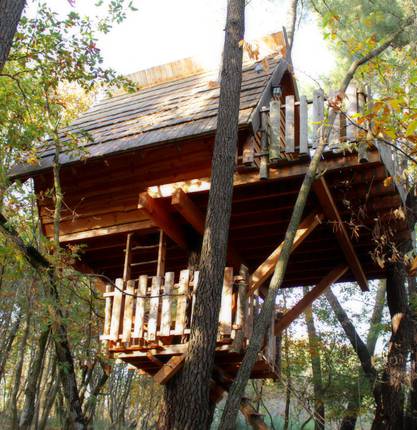 Sidonie slept in a treehouse in the Drôme region
