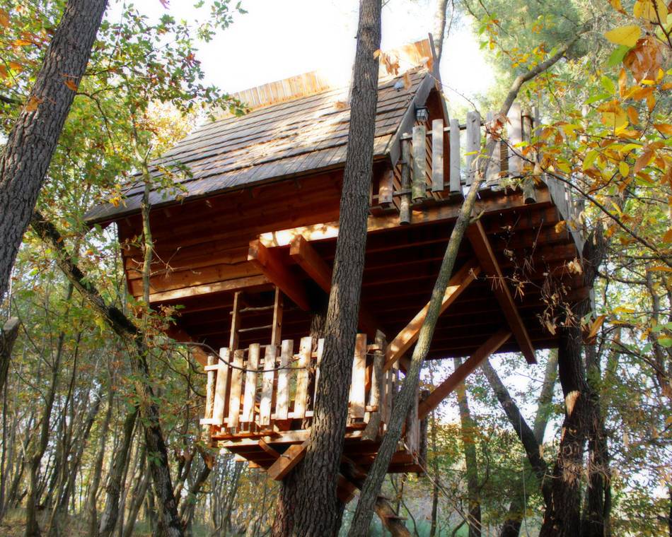 Sidonie slept in a treehouse in the Drôme region