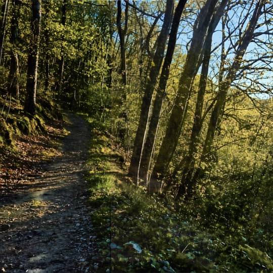 Wanderung Vion