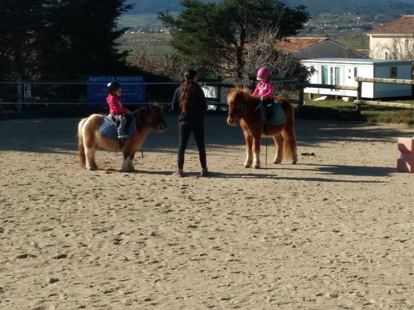 Stage Poney aux Ecuries de Vaillant