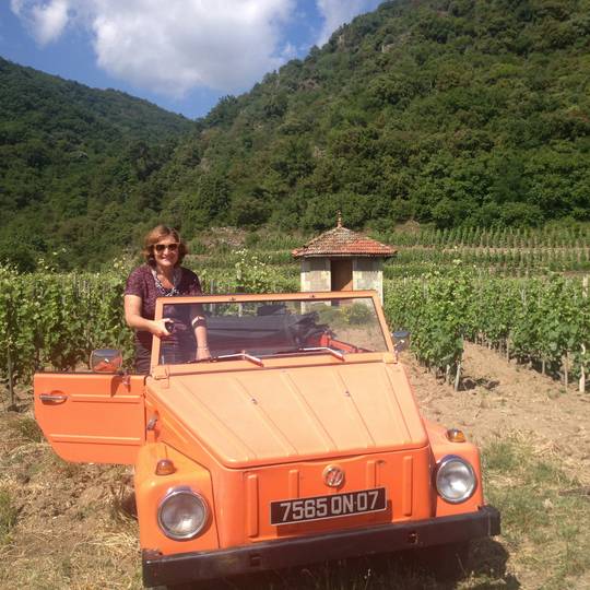 Kubelwagen dans les vignes