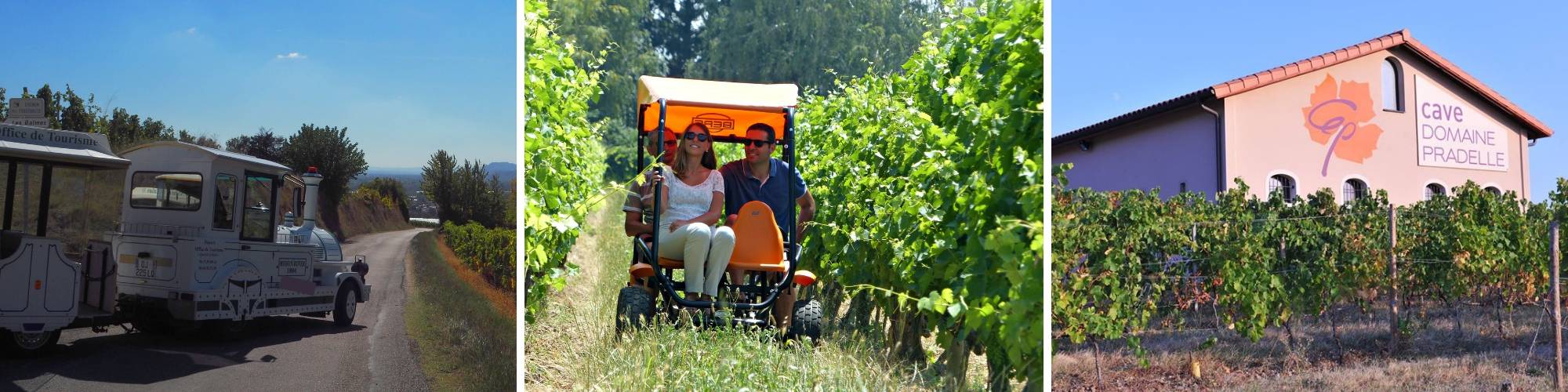 balade ludique dans les vignobles.