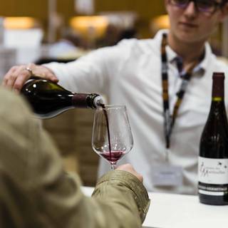 Salon des vins de Tain 