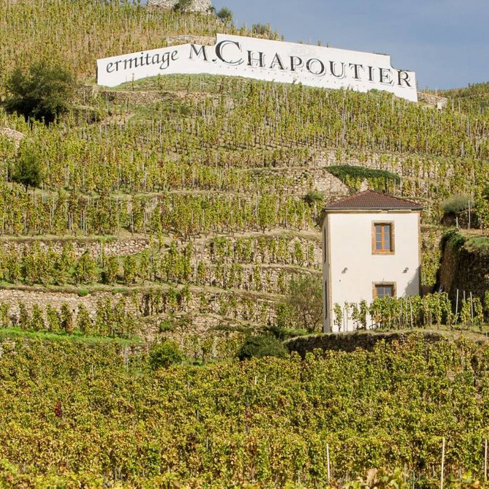 vigne M. CHAPOUTIER