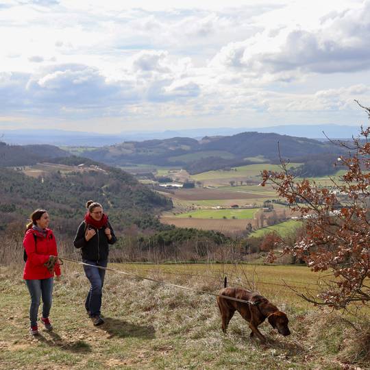 randonnée automne Arthemonay