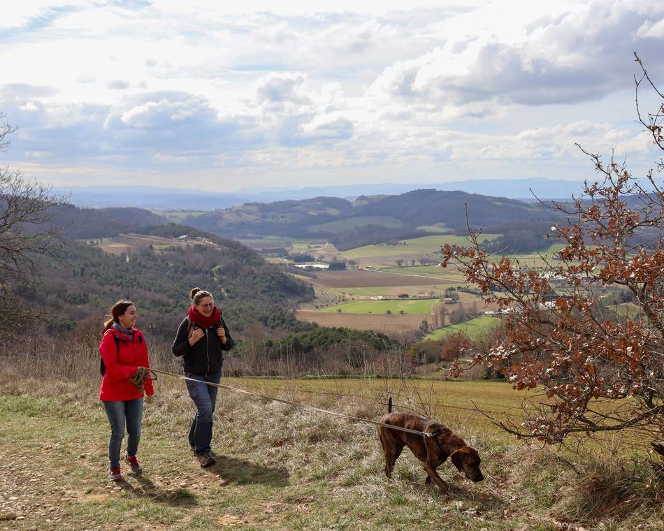Sélection randos du mois de Novembre