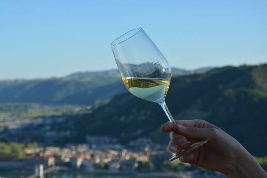 Vin blanc avec vu sur la vallée du Rhône