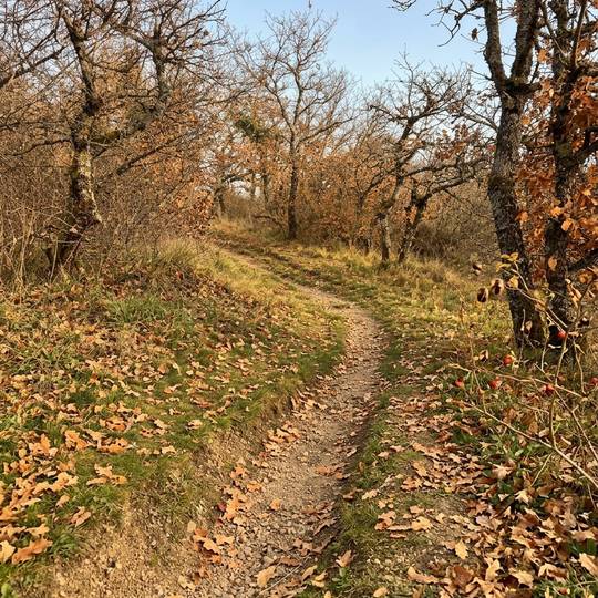 Wanderung „Charmes sur l’Herbasse“