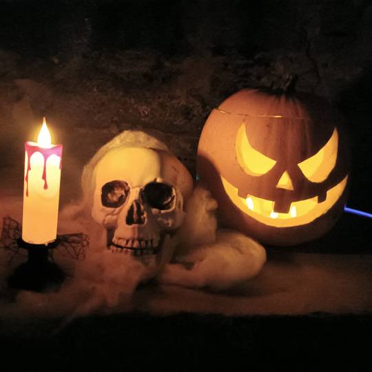 Halloween à Fort Donart