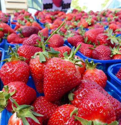 image-ou-acheter-de-bons-produits