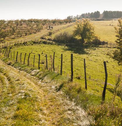 5 hikes around Saint Donat sur l'Herbasse