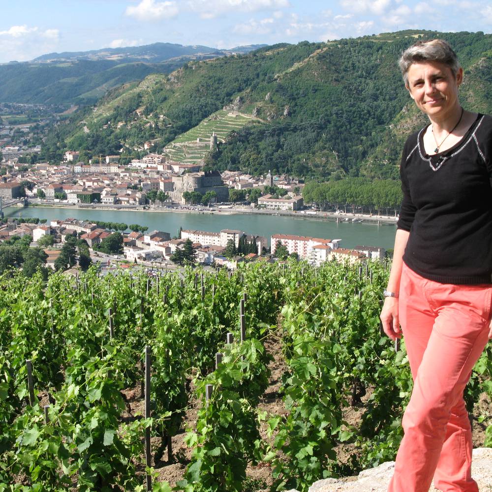 ©Terres de Syrah Terres de Syrah vignobles vallée du Rhône