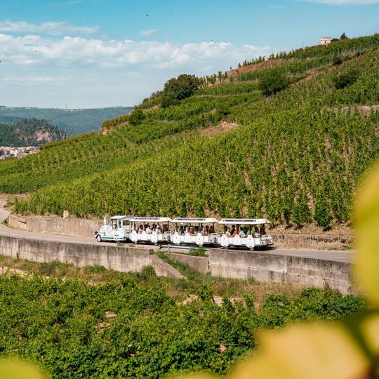 petit train des vignes