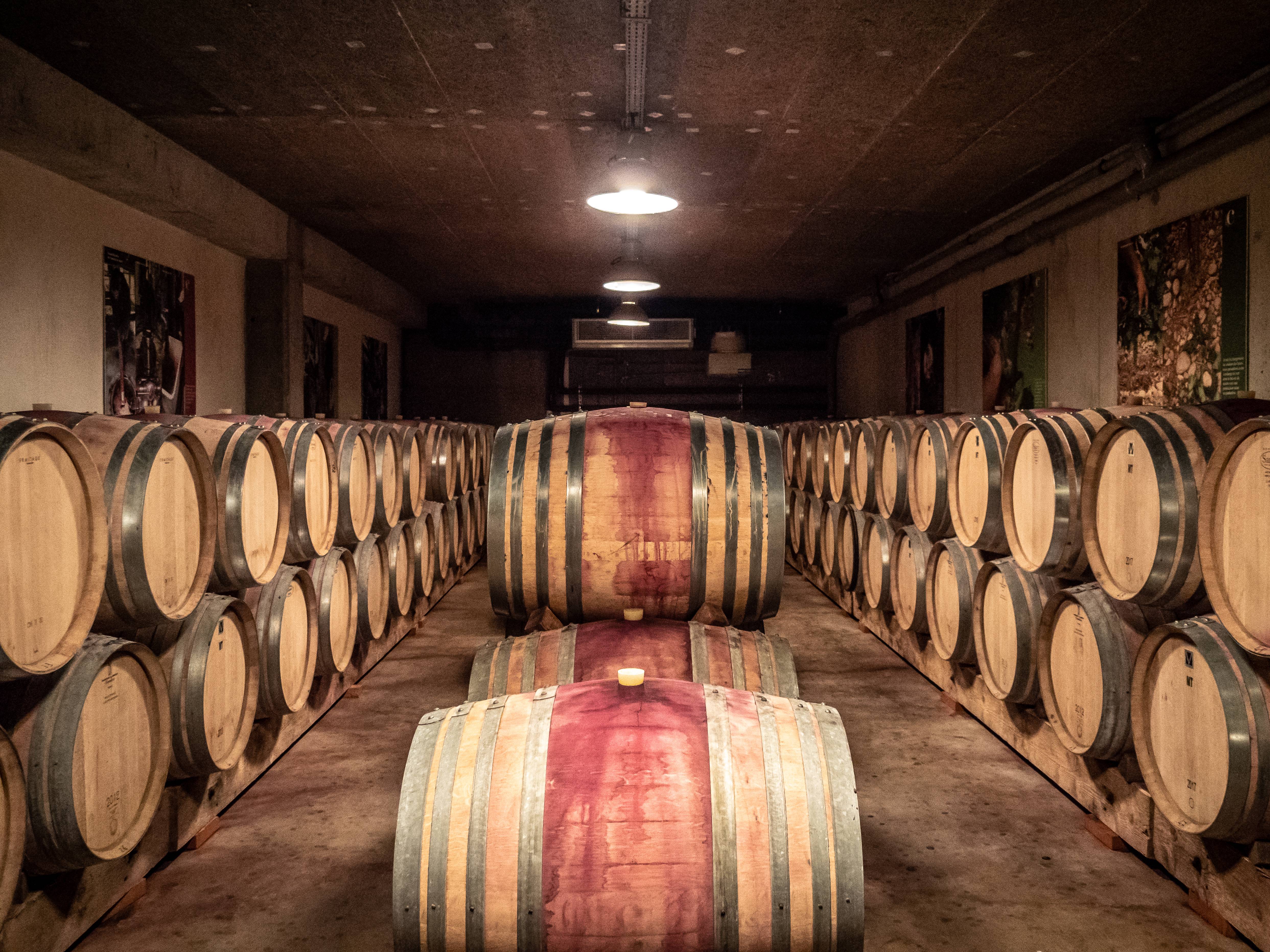 Visite de la cave de Clairmont