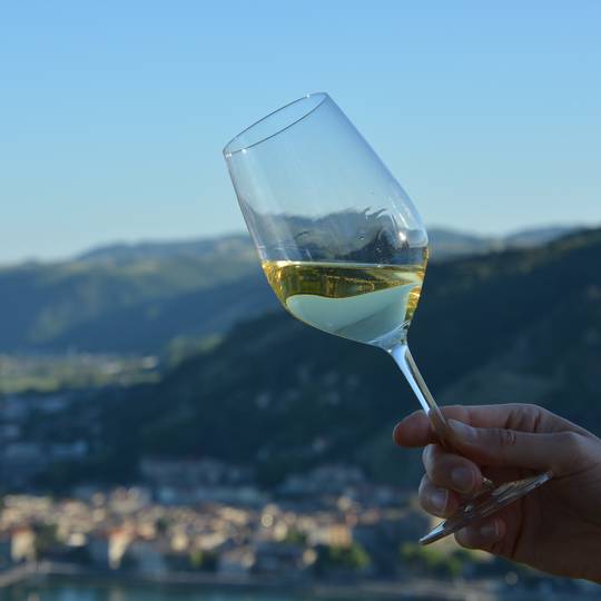 Dégustation de vin - Vallée du Rhône Nord