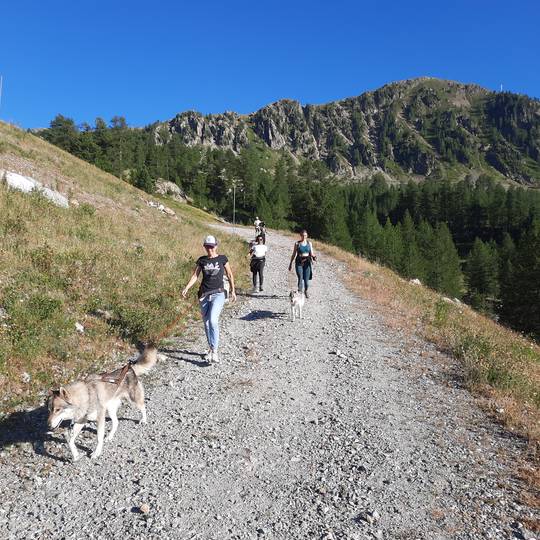 faire une sortie cani-ando dans le vercors