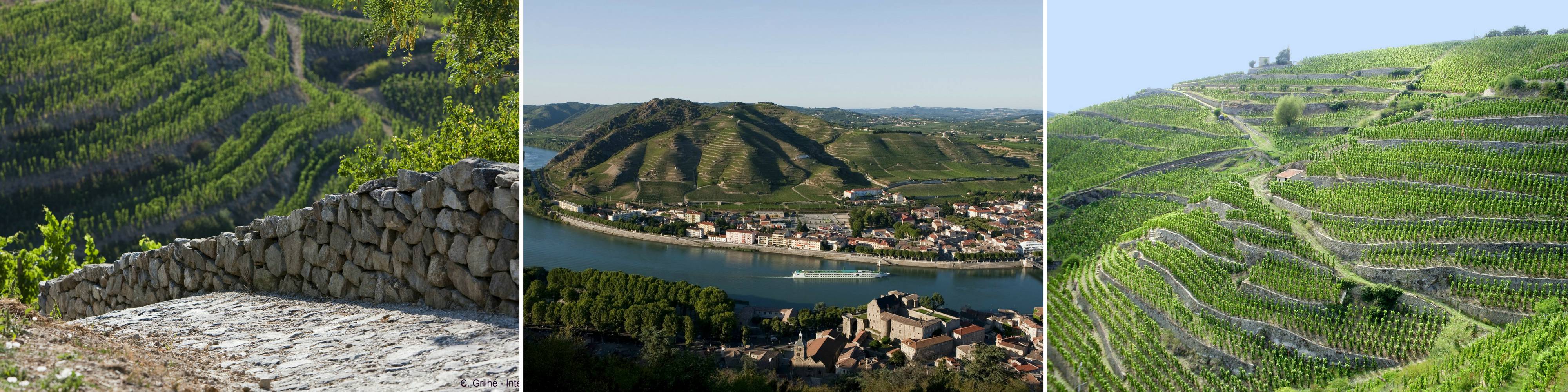 les coteaux de l'Hermitgae