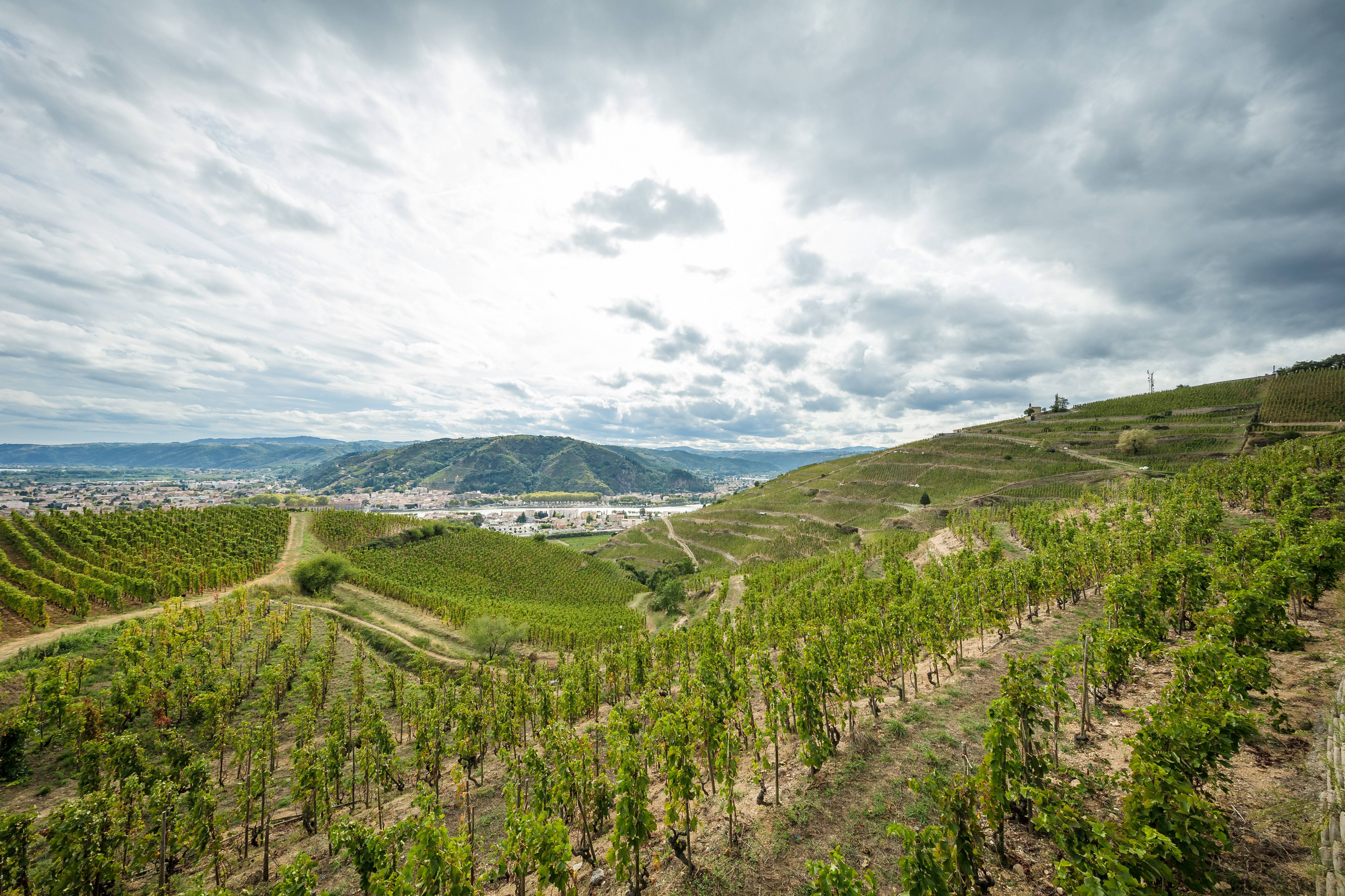 Colline de l'Hermitage