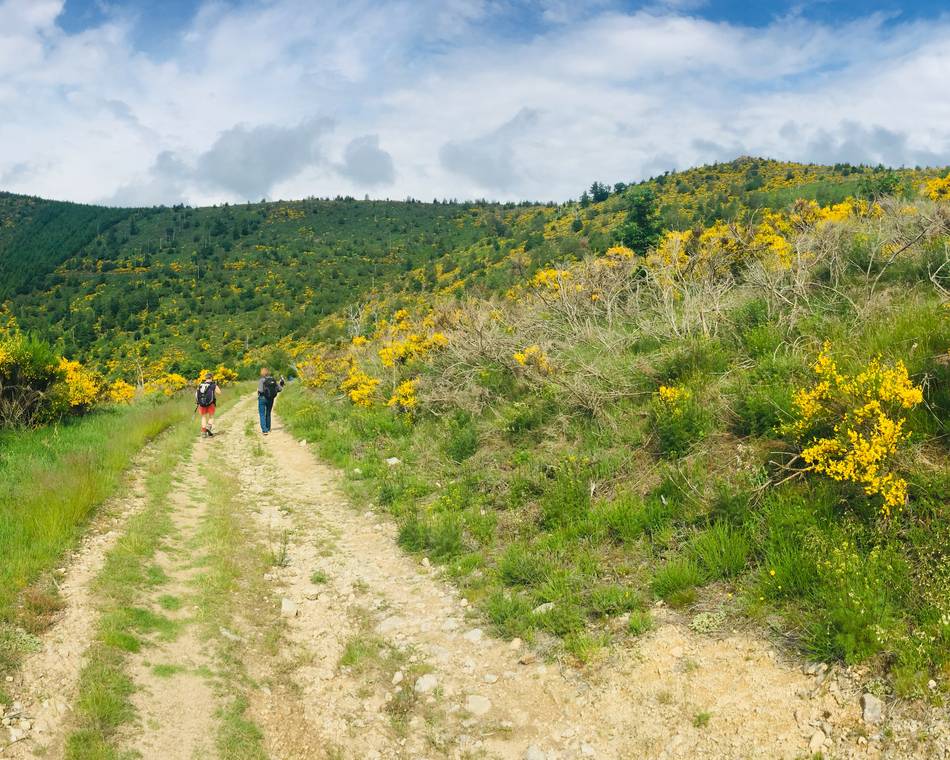 Randonnée autour de Saint Félicien