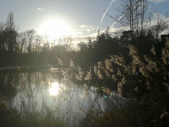 Etang du Mouchet