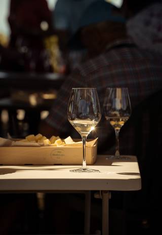 Dégustation avec un sommelier dans les vignes de l'Hermitage