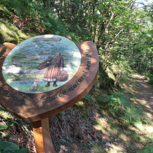 Nature secrete des gorges de la daronne