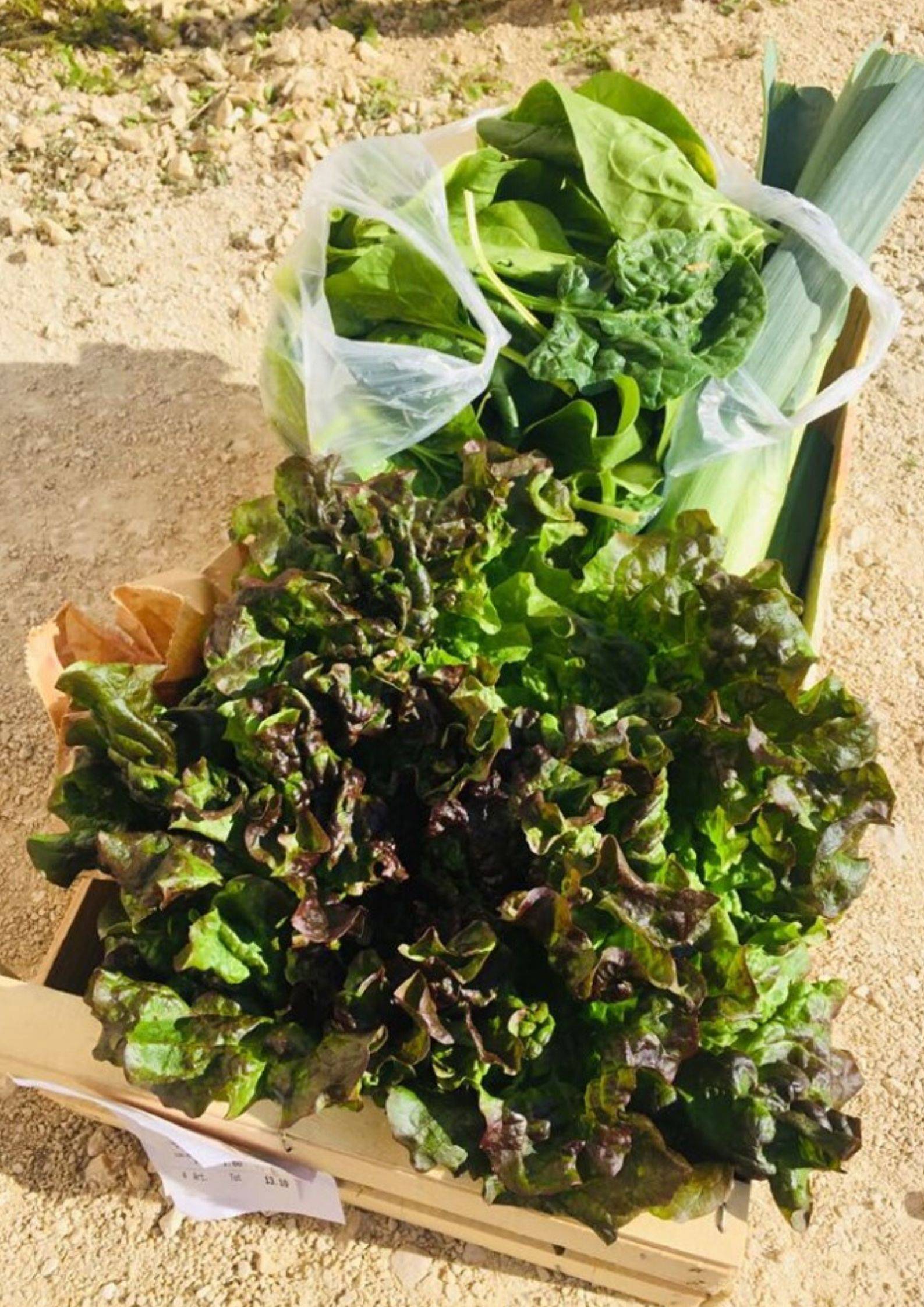 Paniers de légumes des ïles ferays