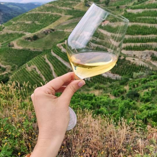 Rendez Wine en Vallée du Rhône Nord