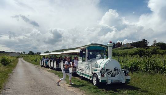 Petit Train des Vignes de l'Hermitage