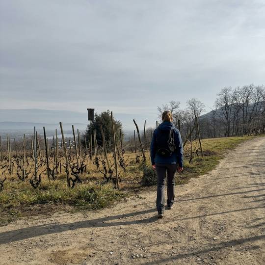 wandeling Mauves