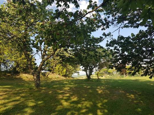 Camping les Pins à Montchenu