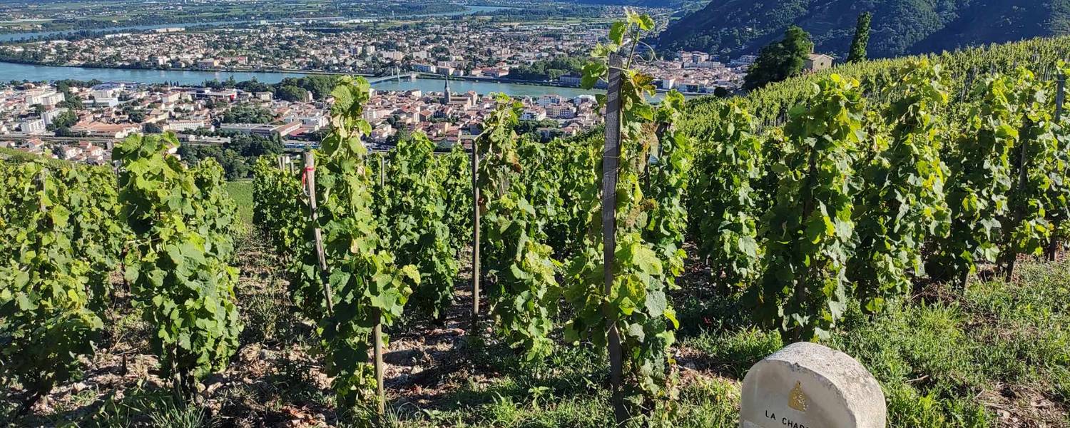 Zone de biodiversité Michelas St Jemms