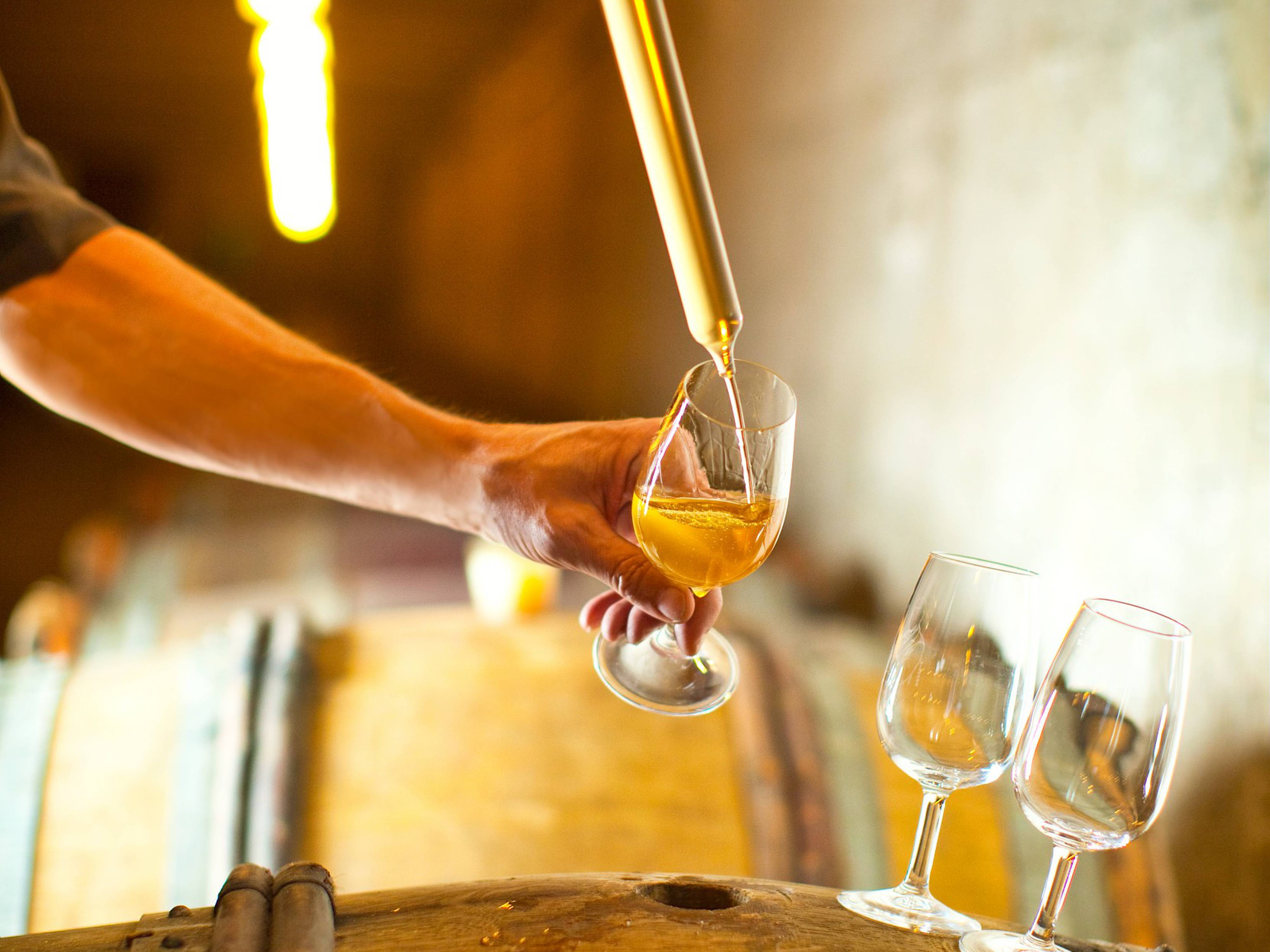 A la rencontre des vignerons de la Vallée du Rhône