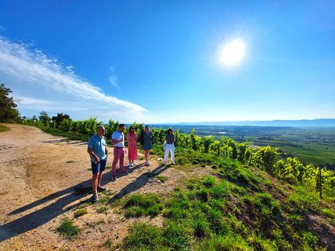 Au rythme des vignes 