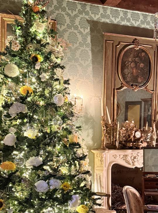 Noel au chateau de Charmes 