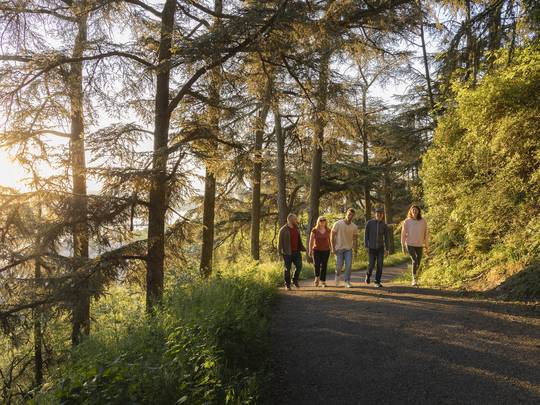 Sentier des tours - lever de soleil