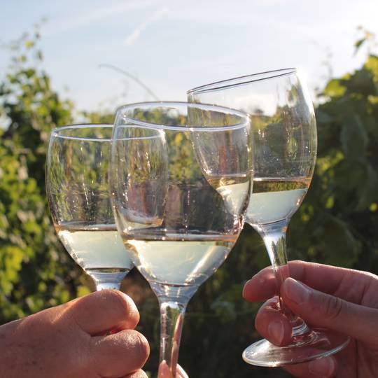 Apéros-vignes par Ardèche Hermitage