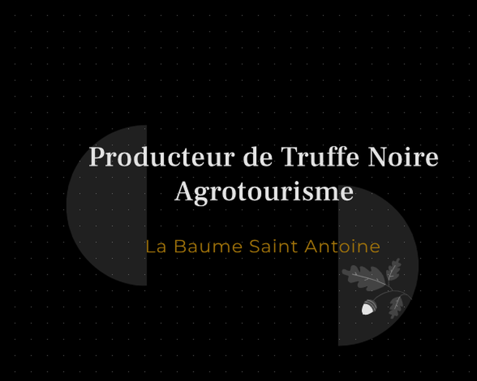 Pique-nique truffé au milieu des chênes- La Baume Saint Antoine