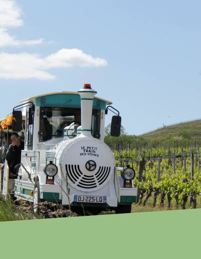 image-À bon train, bons vins - Le Petit Train des Vignes