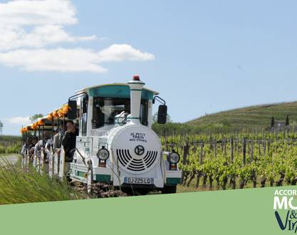 Stroll through the vineyards - Le Petit Train des Vignes