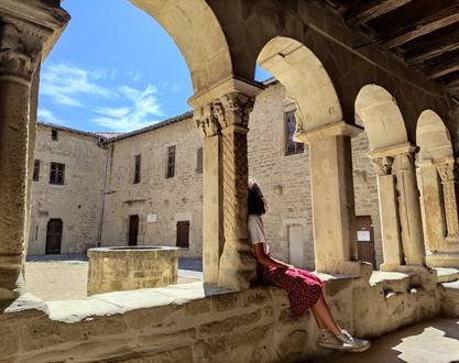 Exposition d'art - Palais Delphinal