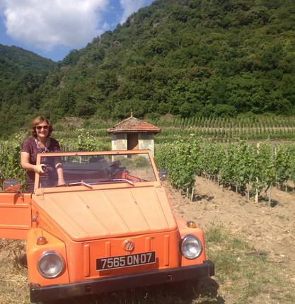 Tasting sessions in a Kubelwagen in the vineyards