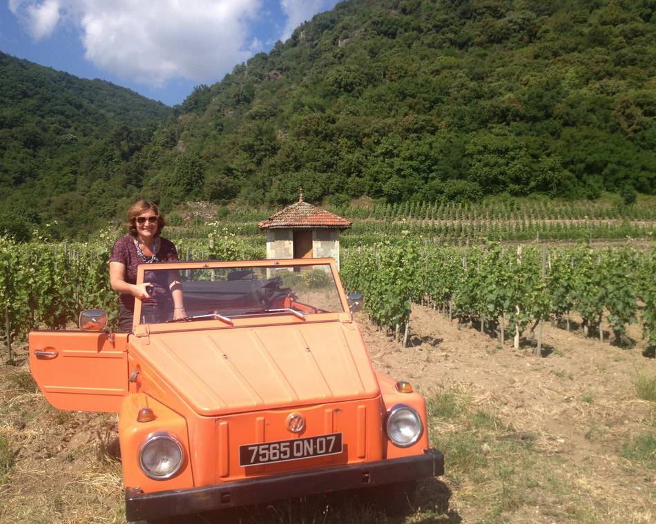 Tasting sessions in a Kubelwagen in the vineyards