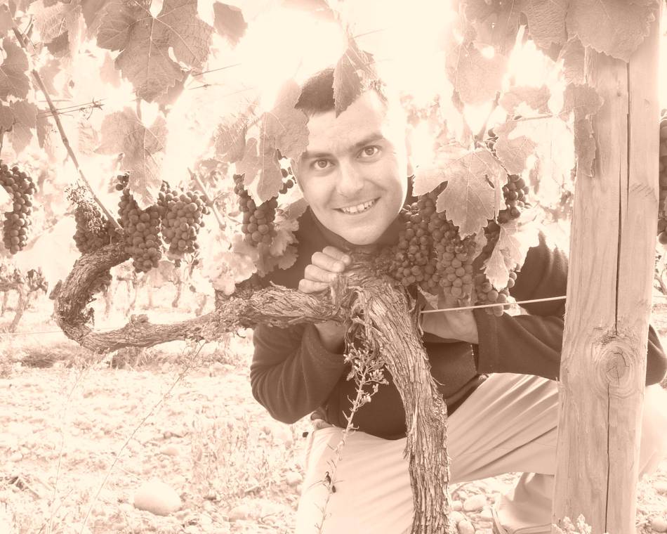 Domaine Gaylord Machon