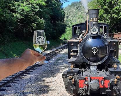 Wine tasting along the Doux river by the Train de l'Ardèche