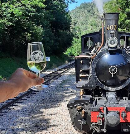 Wine tasting along the Doux river by the Train de l'Ardèche